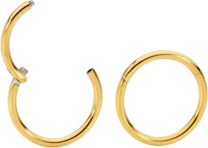 365 SLEEPERS 2PCS Titanium Implant Grade 18G Septum Jewelry Hinged Segment Ring Body Piercing Hoop Lip Rings Helix Cartilage Rook Sleeper Earrings Nickel Free Hypoallergenic 6mm  13mm