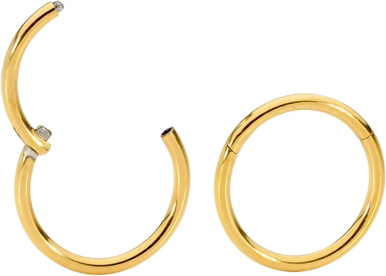365 SLEEPERS 2PCS Titanium Implant Grade 18G Septum Jewelry Hinged Segment Ring Body Piercing Hoop Lip Rings Helix Cartilage Rook Sleeper Earrings Nickel Free Hypoallergenic 6mm  13mm