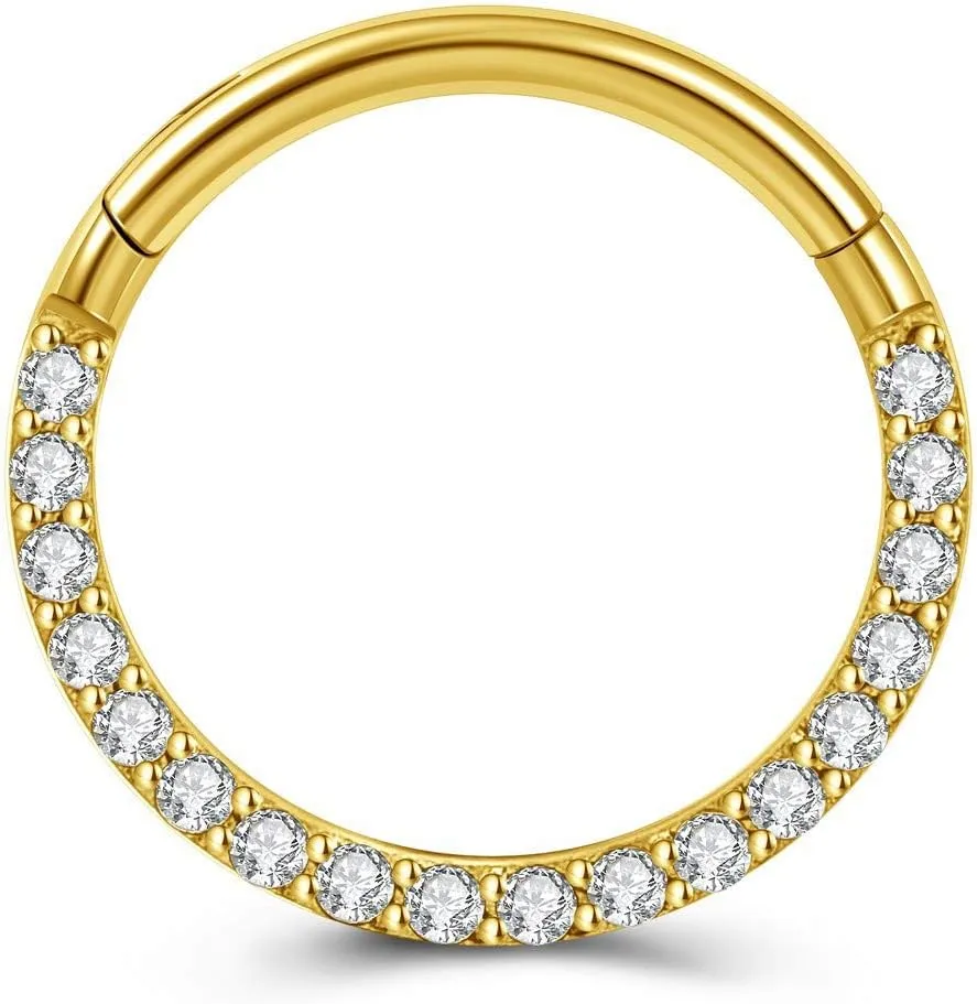 PiercingJ 2PCS Cubic Zirconia Hinged Nose Rings 316L Stainless Steel 16G Cartilage Earrings Hoop Hinged Nose Septum Piercing Clicker Ring Helix Tragus Daith Endless Earring 8mm 10mm