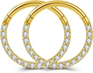 PiercingJ 2PCS Cubic Zirconia Hinged Nose Rings 316L Stainless Steel 16G Cartilage Earrings Hoop Hinged Nose Septum Piercing Clicker Ring Helix Tragus Daith Endless Earring 8mm 10mm