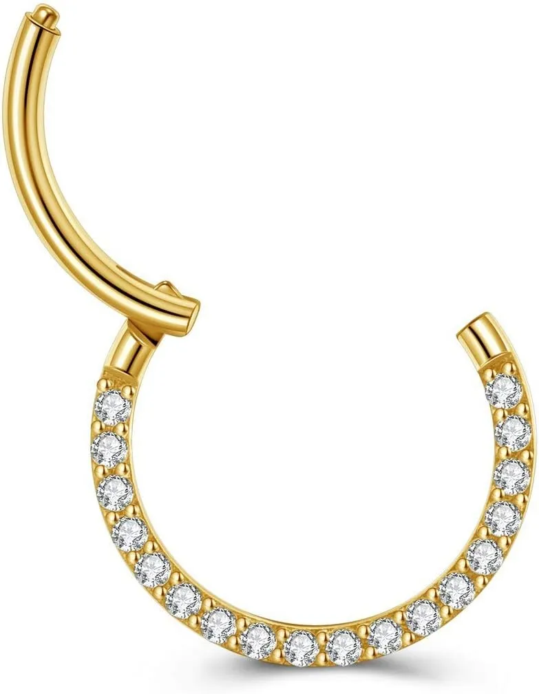 PiercingJ 2PCS Cubic Zirconia Hinged Nose Rings 316L Stainless Steel 16G Cartilage Earrings Hoop Hinged Nose Septum Piercing Clicker Ring Helix Tragus Daith Endless Earring 8mm 10mm