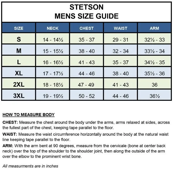 Stetson Mens Four Point Geo Blue 100% Cotton L/S Shirt